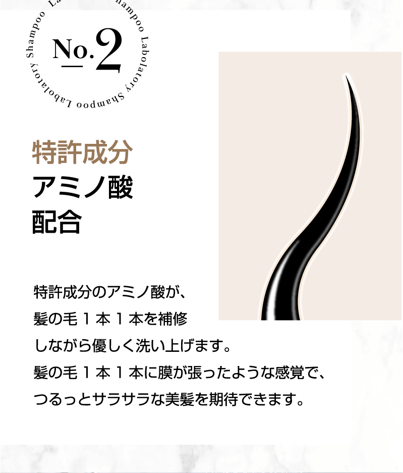 No.2 特許成分アミノ酸配合
