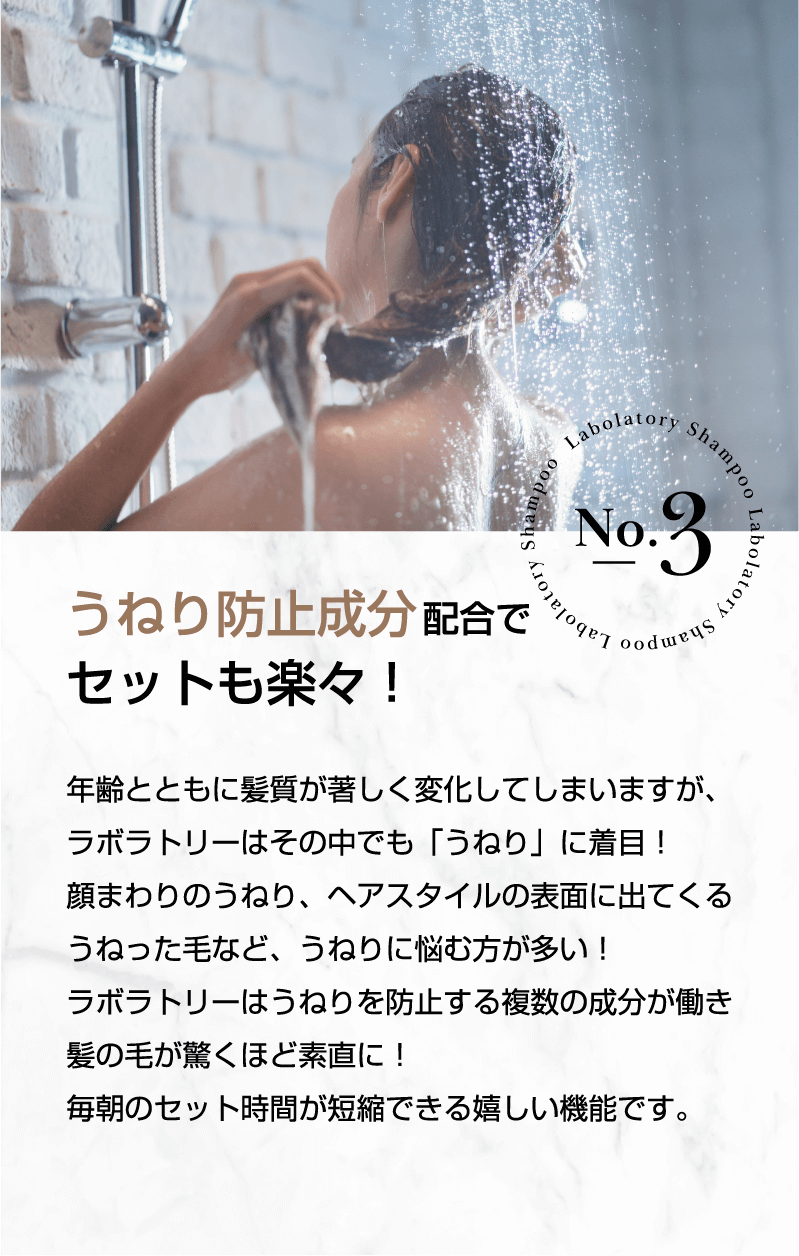 No.3 うねり防止成分配合でセットも楽々！
